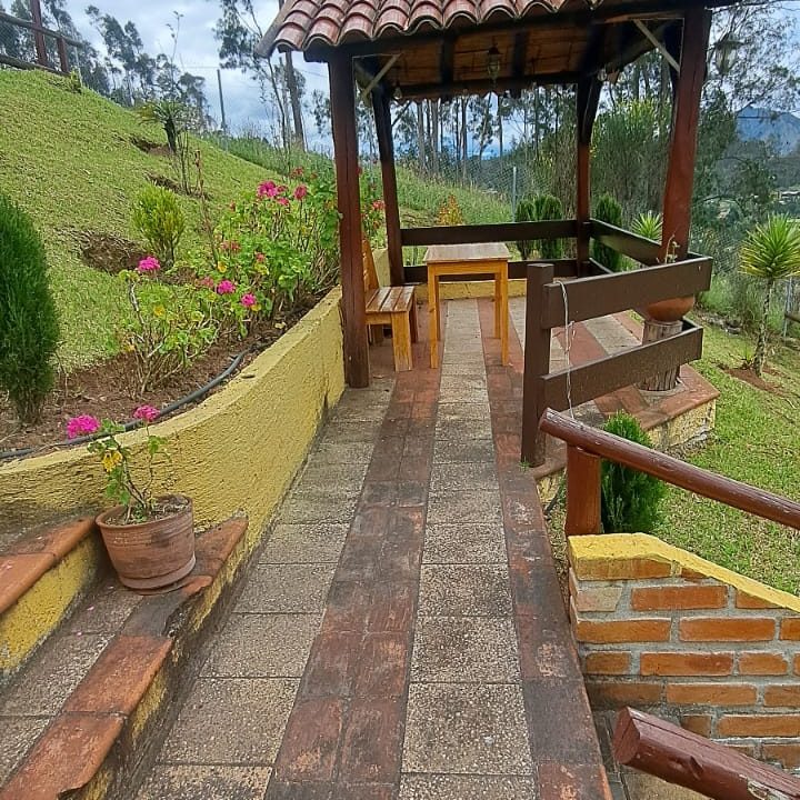WhatsApp Image 2025-07-22 at 4.54.53 PM (3)